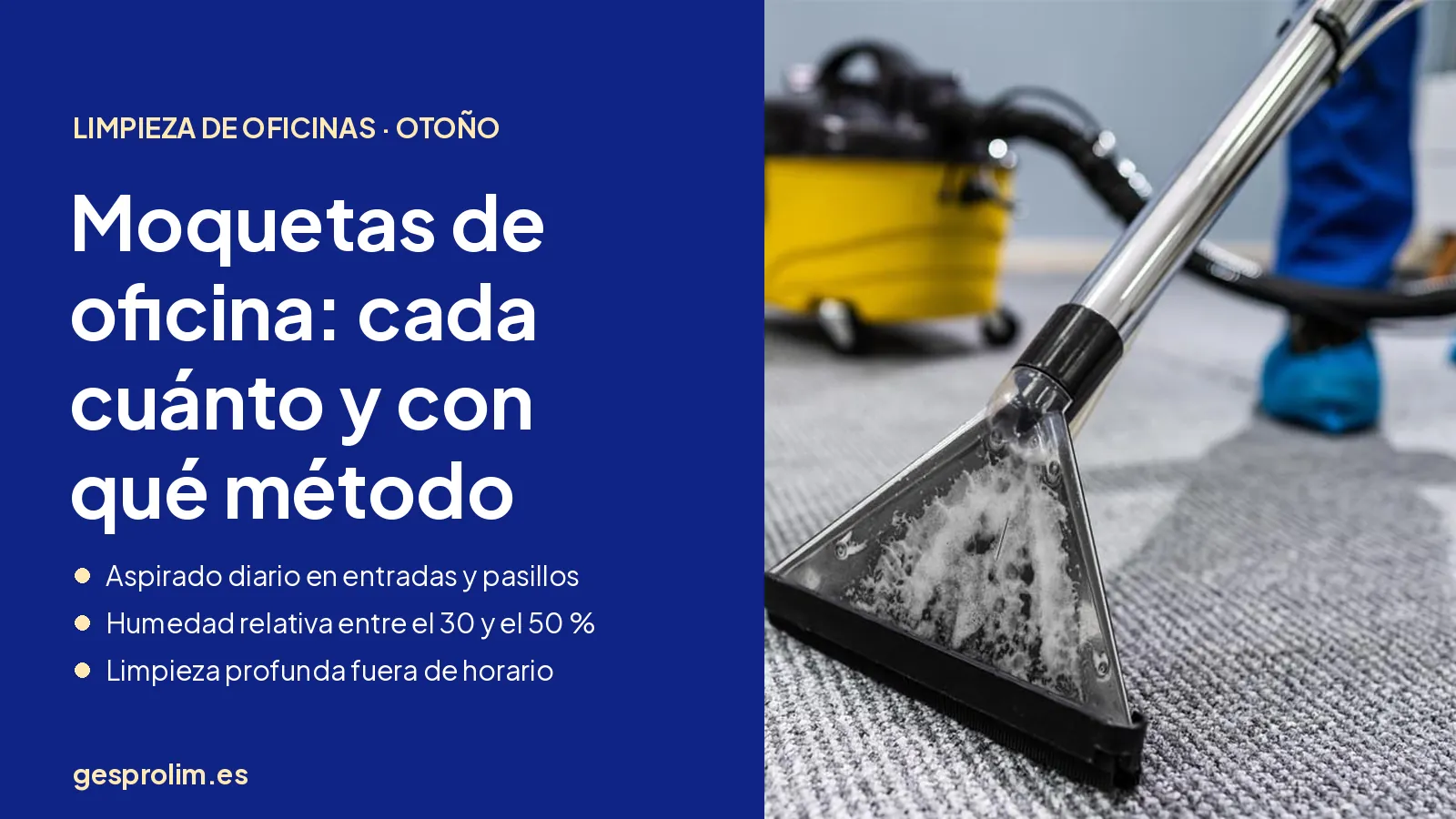 Limpieza de moquetas de oficinas en otoño: cada cuánto, qué método y cómo evitar humedad y ácaros 4 Limpieza de moquetas de oficina en otoño: cada cuánto y con qué método